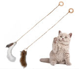 Lustige wechselwirkende Katzen-Spielwaren mit Plastikchips Edelstahl-Rod pp. fournisseur
