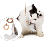 Lustige wechselwirkende Katzen-Spielwaren mit Plastikchips Edelstahl-Rod pp. fournisseur