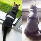 Freundlicher netter Katze Eco Hoodie, warme Haustier-Kostüme für kleine Hunde fournisseur