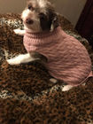 Arbeiten Sie Haustier-Kleidung kundengebundener Größe nette Hundekleidung für Herbst/Winter um fournisseur