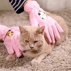 Rosa Berufshaustier-Pflegenhandschuh-Bad-Reinigungs-Handschuh für Katze/Hund fournisseur