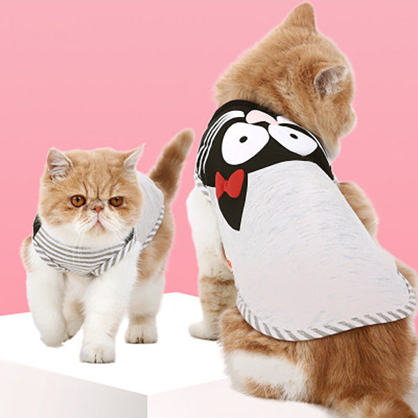 Bequeme Katzen, die Kleidungs-professionelles flexibles gestricktes Stoff-Material tragen fournisseur
