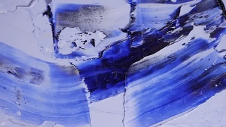 Niedliches Blumenhalsband mit individuellem Logo