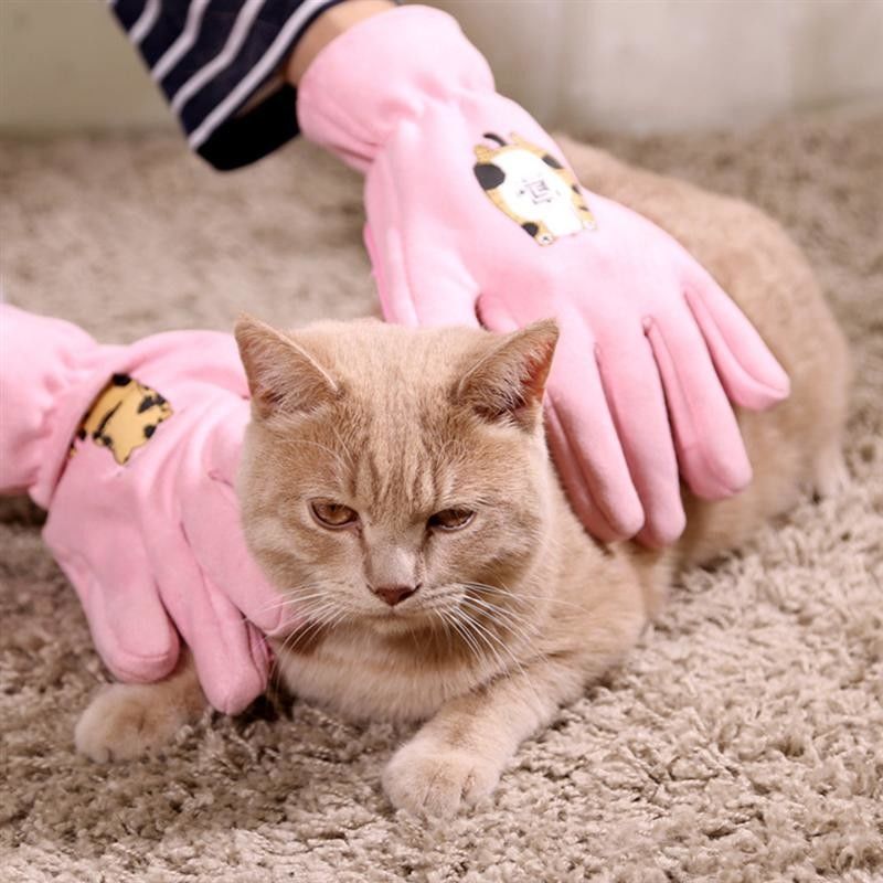 Rosa Berufshaustier-Pflegenhandschuh-Bad-Reinigungs-Handschuh für Katze/Hund fournisseur